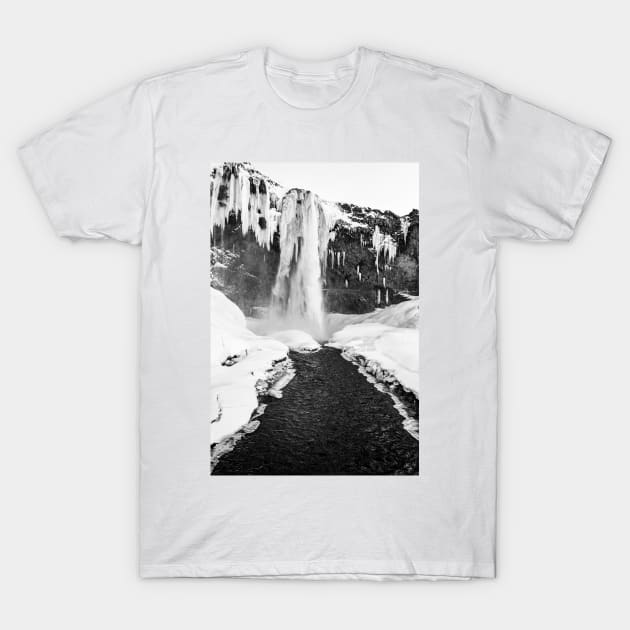 Waterfall B&W T-Shirt by Kate-P-